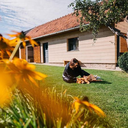 Kapina Sk - Dom Jasna Daire Liptovský Mikuláš Dış mekan fotoğraf